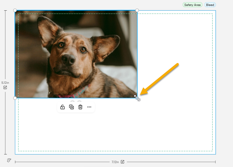 A handle to adjust the size of the dog image appears on the bottom right corner.