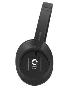 Headphones & Earphones