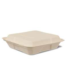 Disposable Lunch Boxes