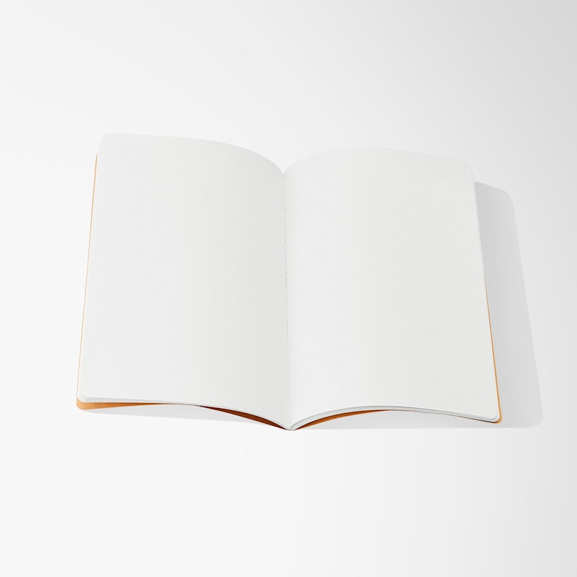 Example 4 of selected product