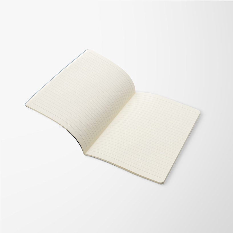 Example 5 of selected product