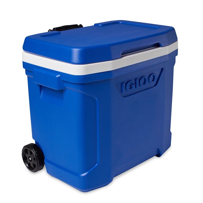 Example 10 of selected product