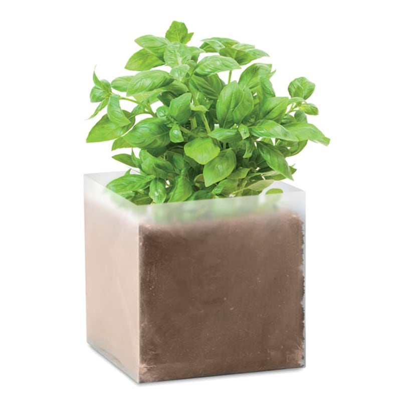 Voorbeeld 4 van geselecteerd product