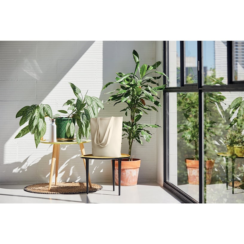 Voorbeeld 8 van geselecteerd product