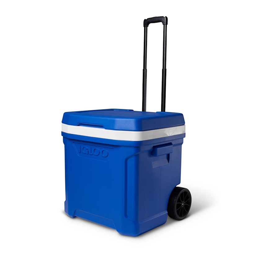 Example 16 of selected product