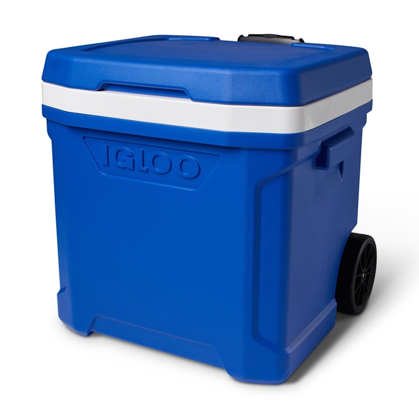 Example 10 of selected product