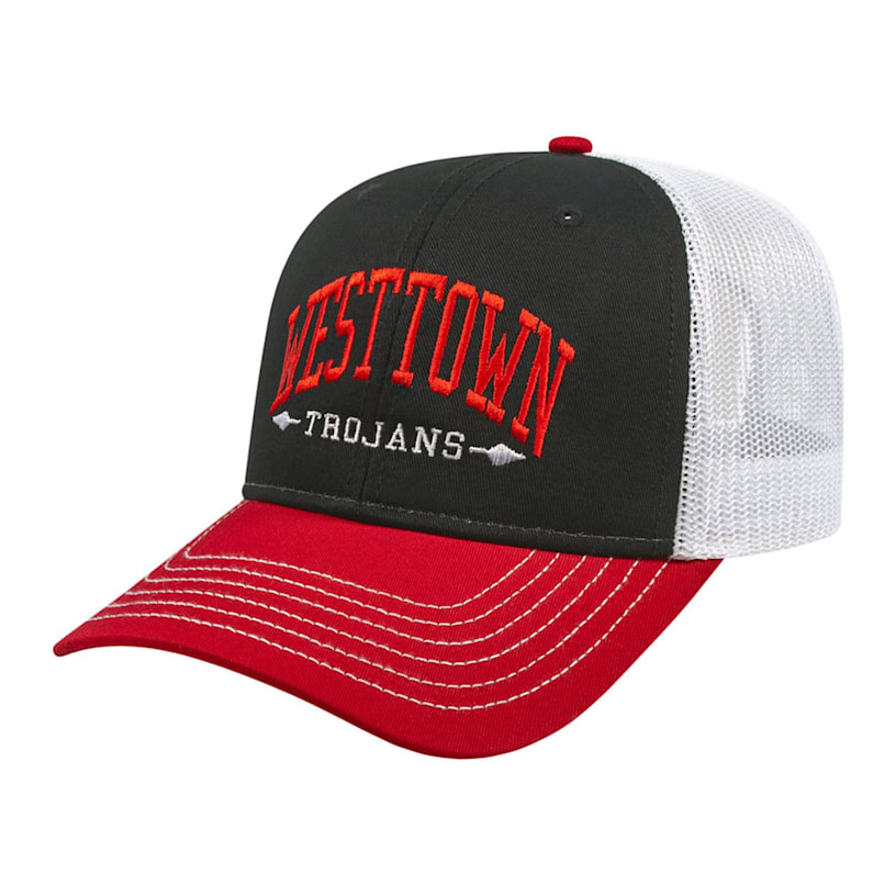 Example 6 of selected product