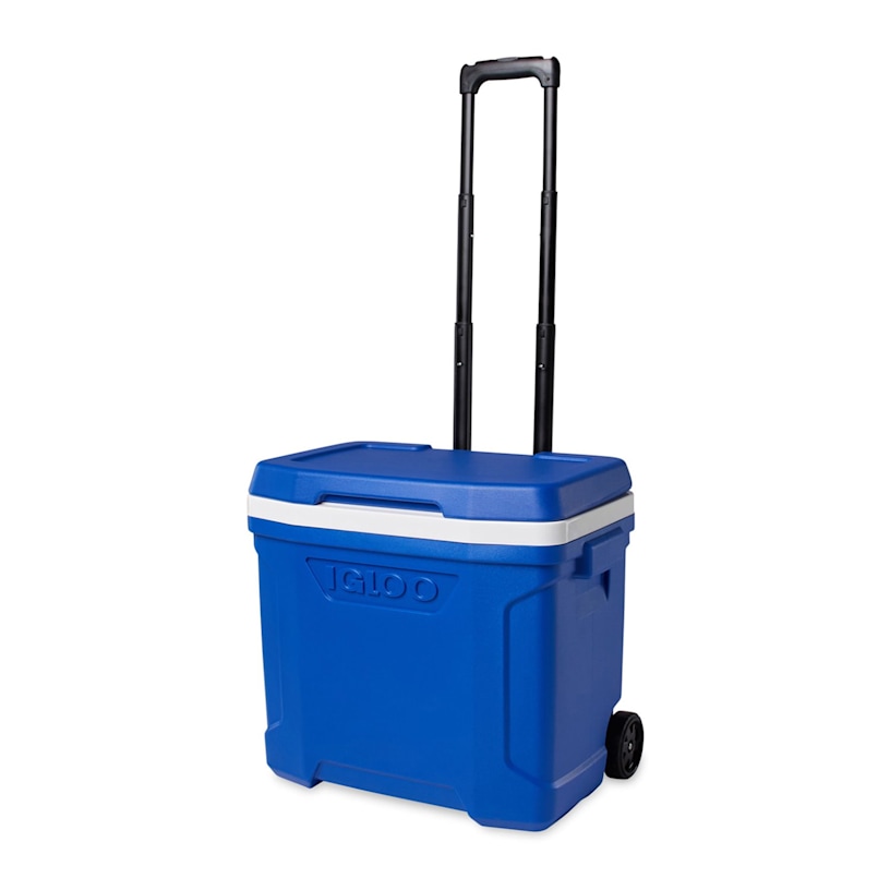 Example 5 of selected product