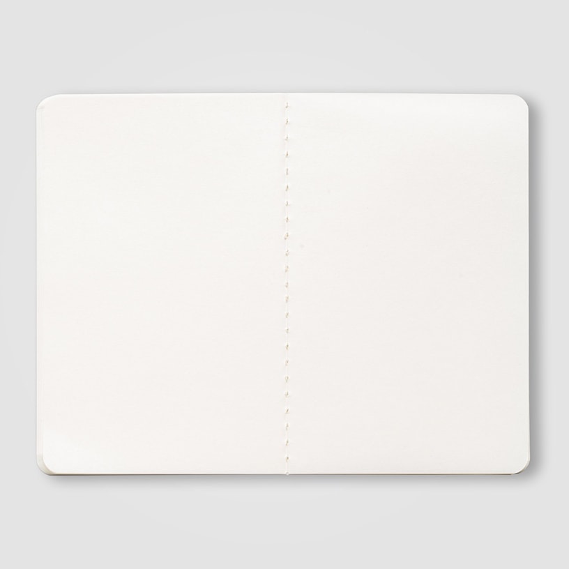 Example 6 of selected product