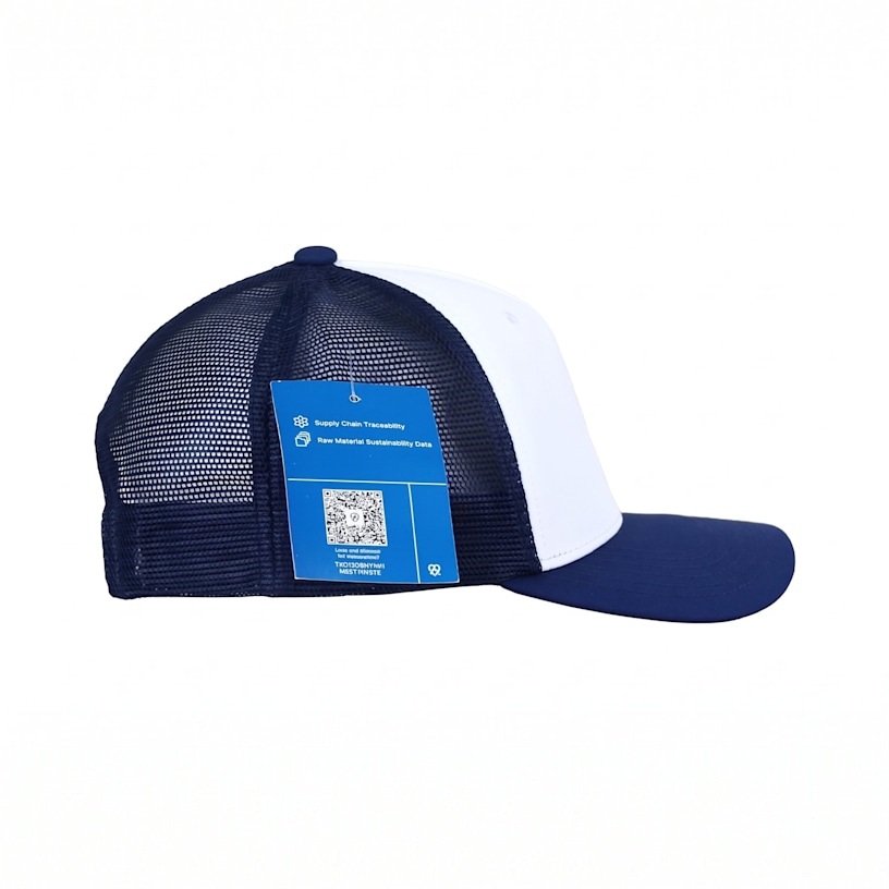 Example 5 of selected product