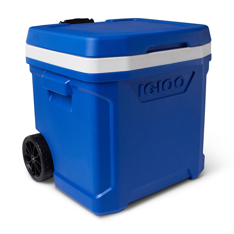 Example 11 of selected product