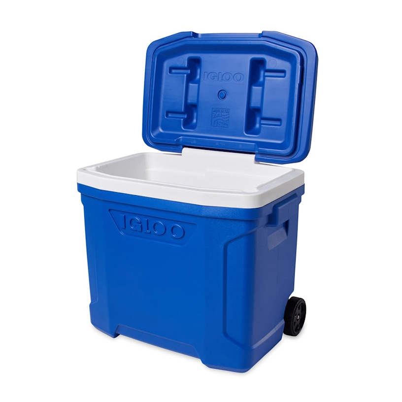 Example 6 of selected product