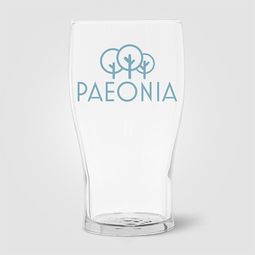 Example 2 of selected product