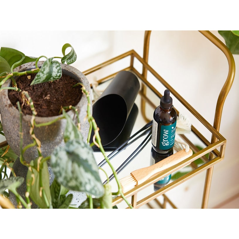 Example 3 of selected product