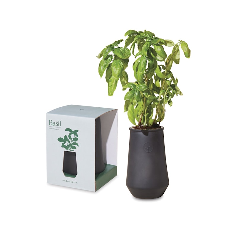 Example 2 of selected product