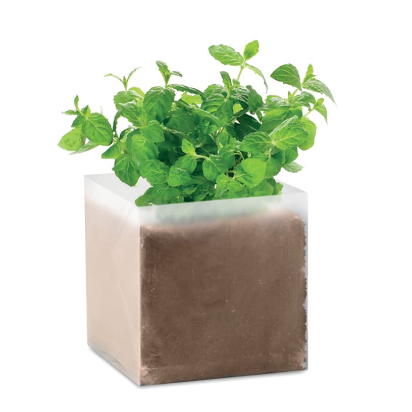 Voorbeeld 5 van geselecteerd product