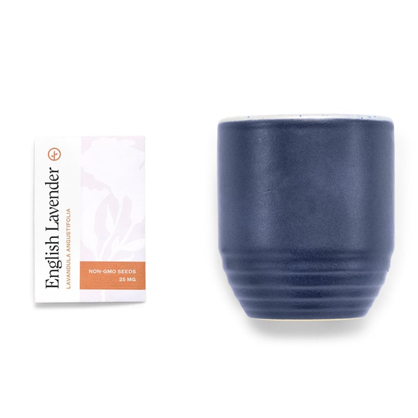Example 3 of selected product