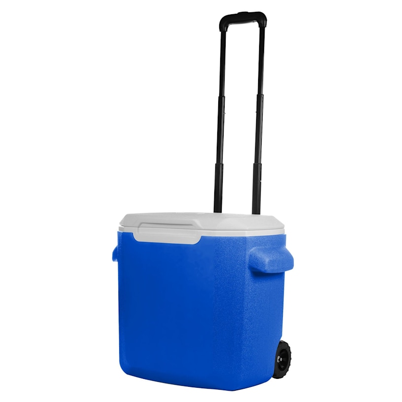 Example 3 of selected product