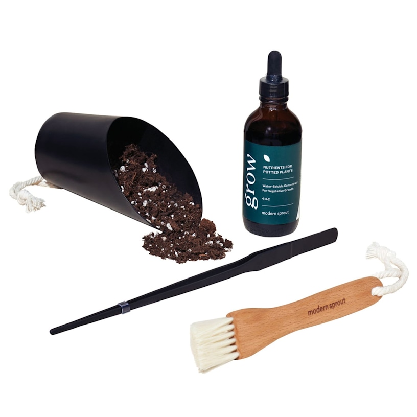 Example 5 of selected product