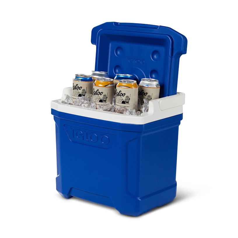 Example 3 of selected product