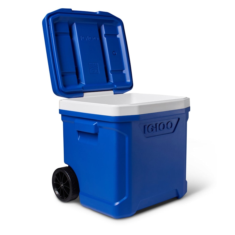 Example 8 of selected product