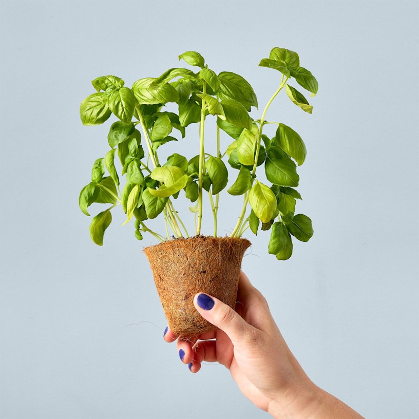 Example 6 of selected product