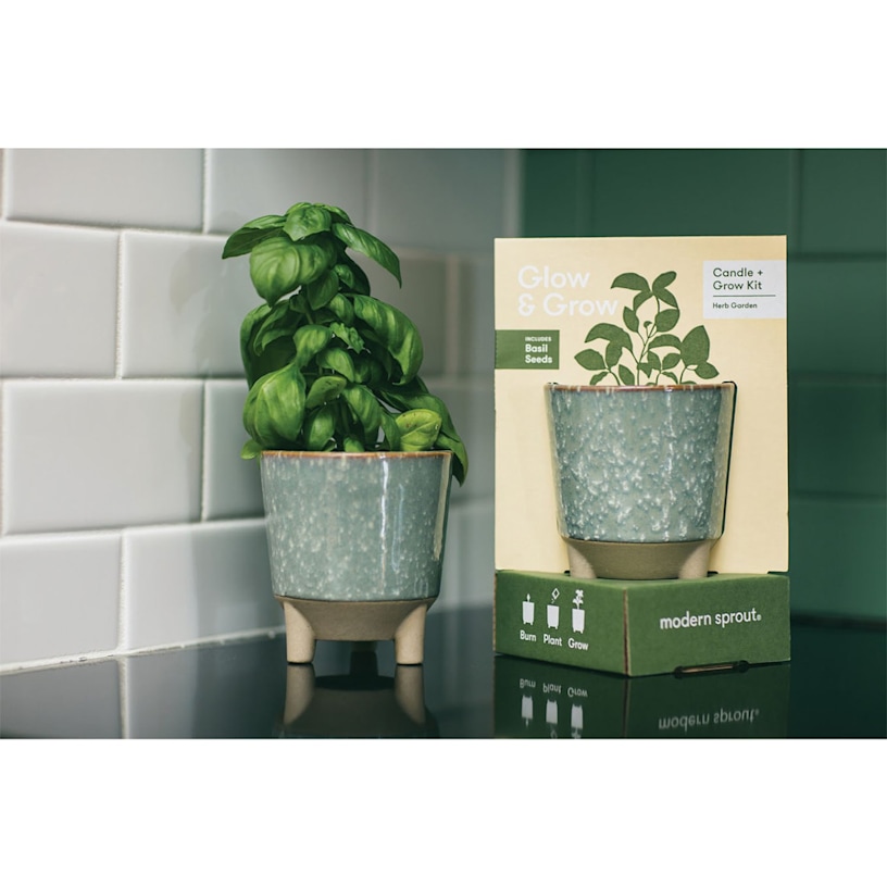 Example 4 of selected product