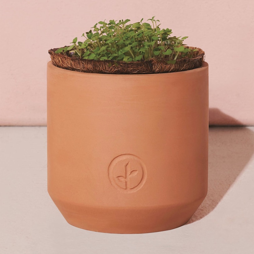 Example 3 of selected product