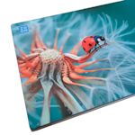 Esempio 6 del prodotto selezionato