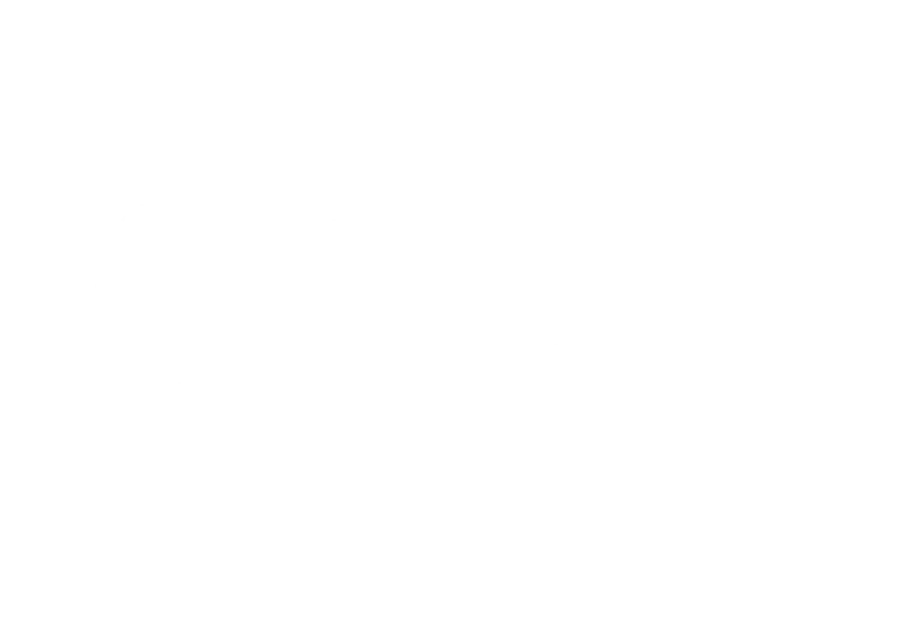 Esempio 1 del prodotto selezionato