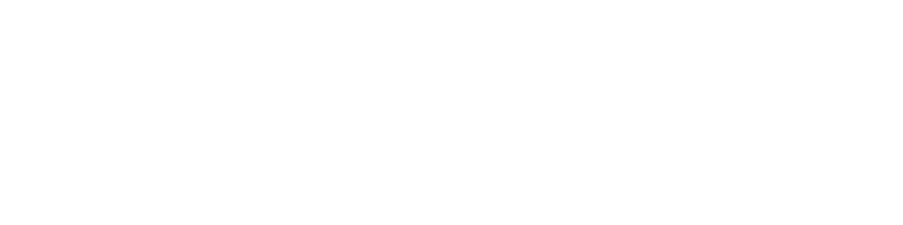 Eksempel 1 på det valgte produkt