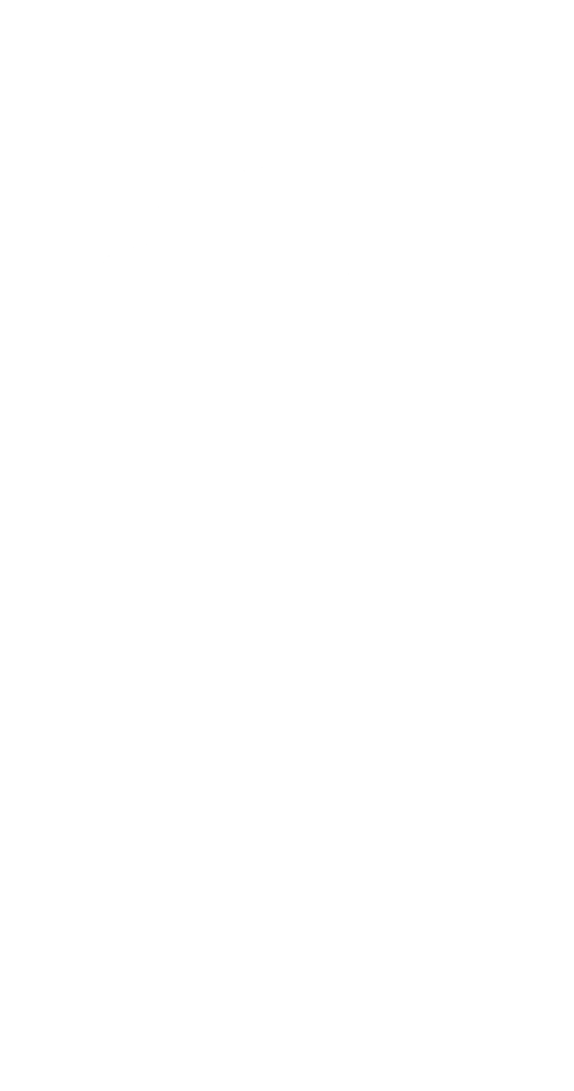Eksempel 1 på det valgte produkt