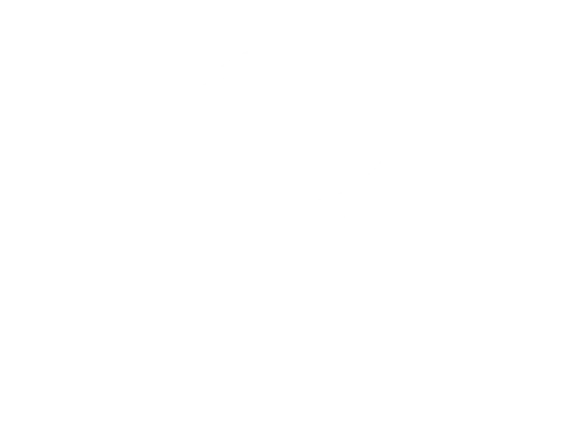 Voorbeeld 1 van geselecteerd product