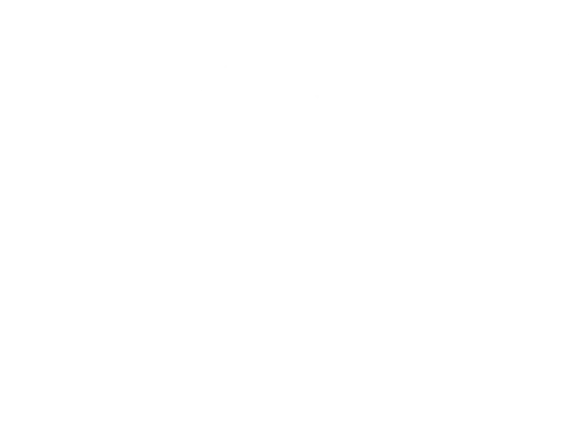 Voorbeeld 1 van geselecteerd product