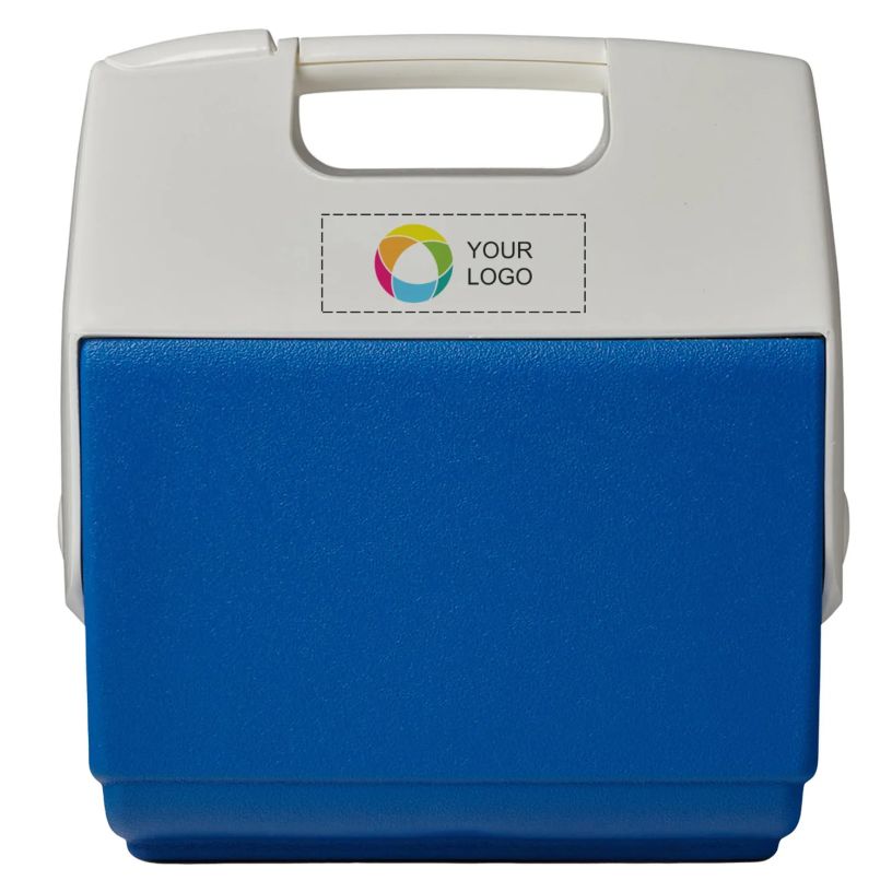 Example 1 of selected product