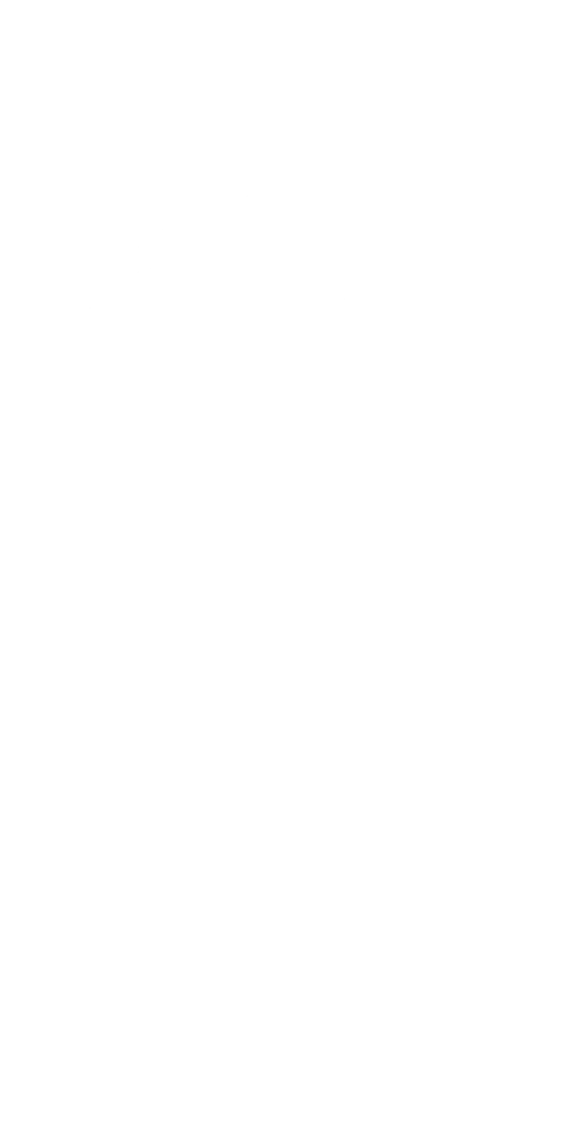 Eksempel 1 på det valgte produkt