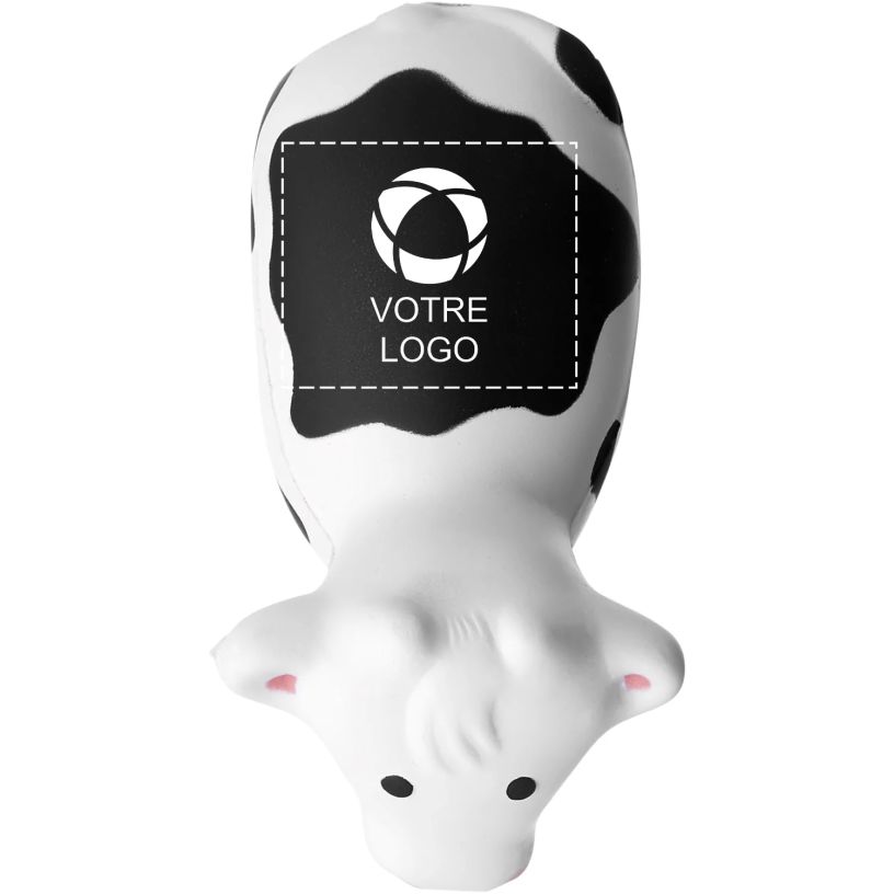 Exemple 1 de produit sélectionné