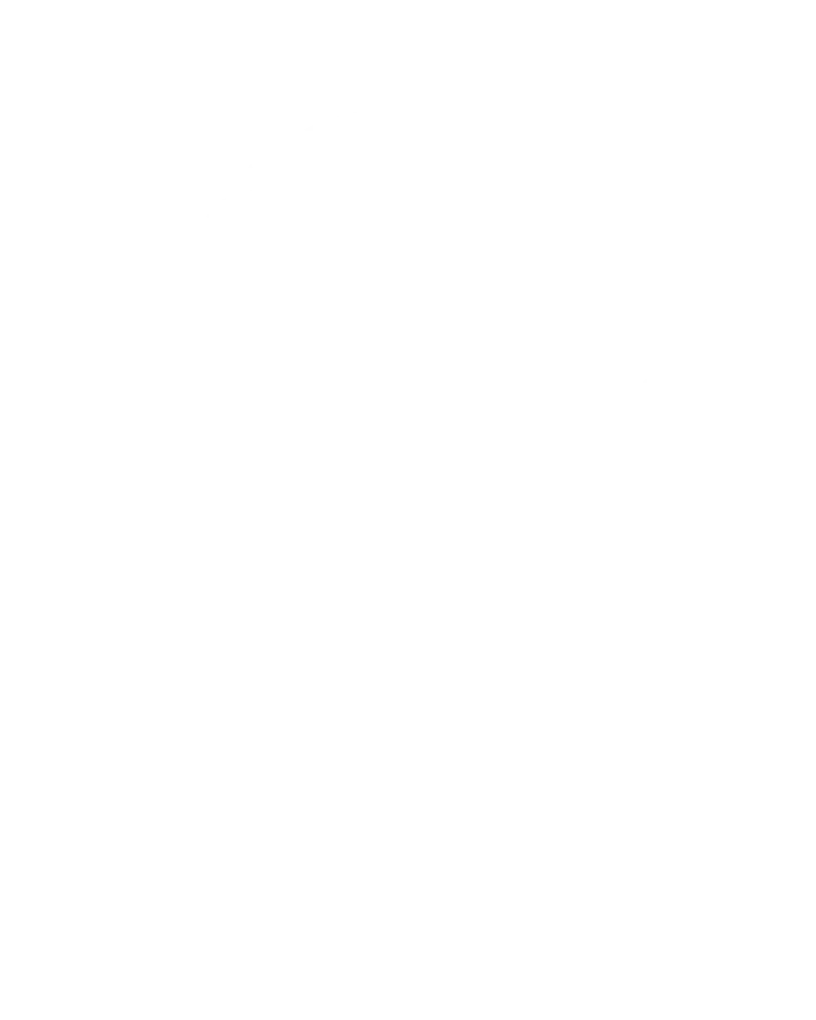Voorbeeld 1 van geselecteerd product