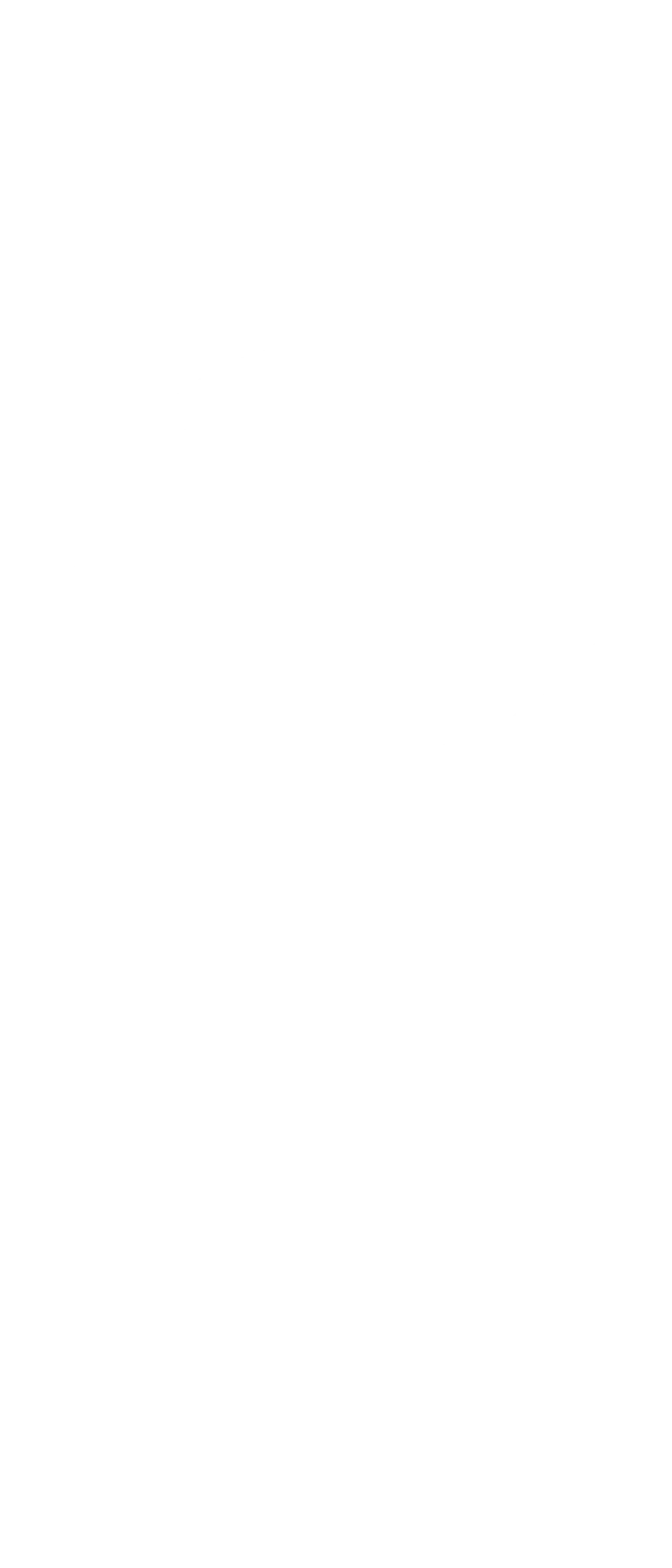 Eksempel 1 på det valgte produkt