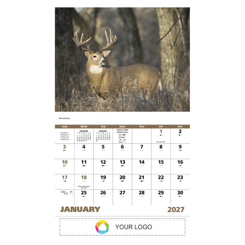 Example 1 of selected product