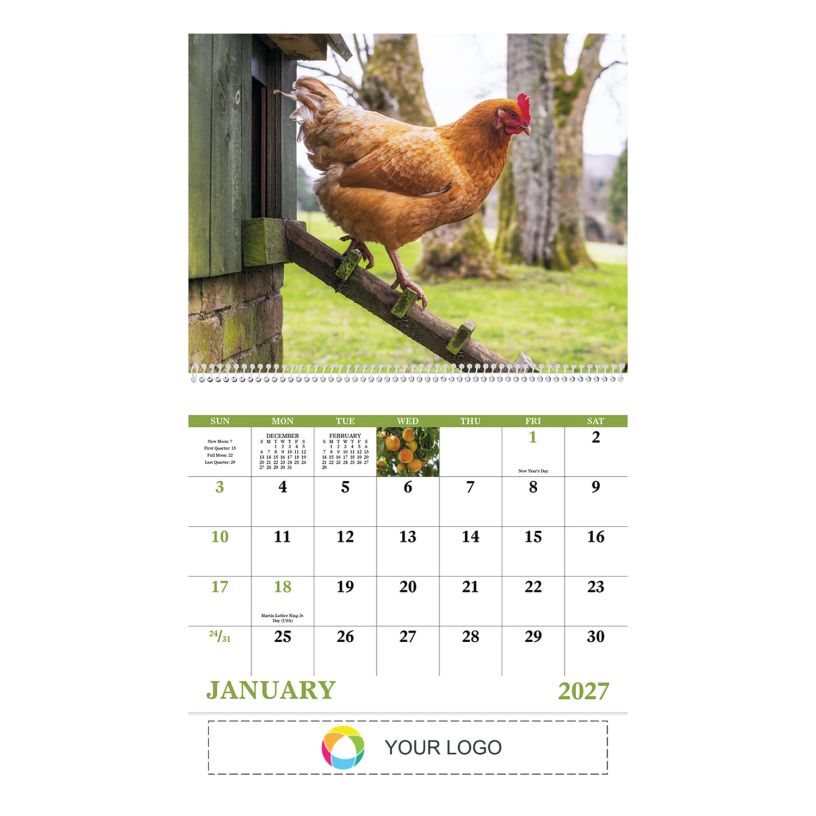 Example 1 of selected product