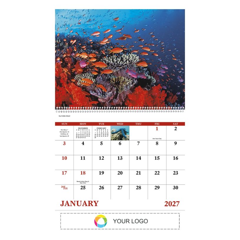 Example 1 of selected product