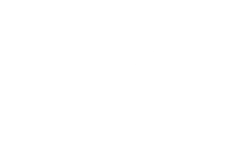 Voorbeeld 1 van geselecteerd product