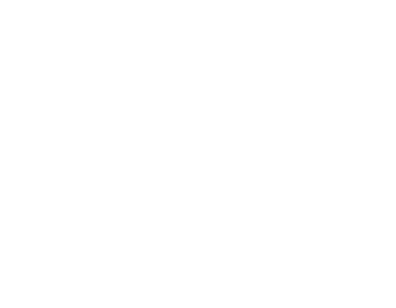 Voorbeeld 1 van geselecteerd product