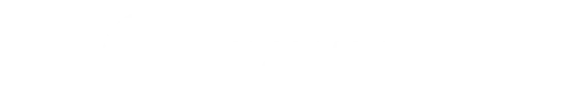 Voorbeeld 1 van geselecteerd product