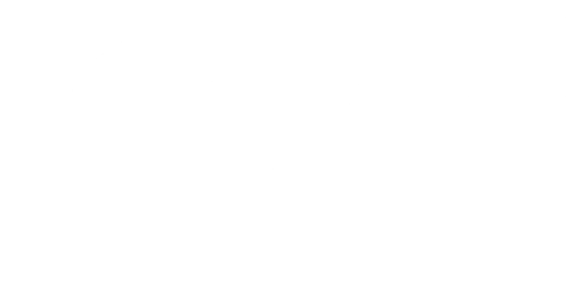 Voorbeeld 1 van geselecteerd product