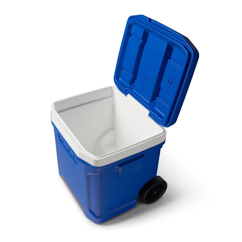 Example 14 of selected product