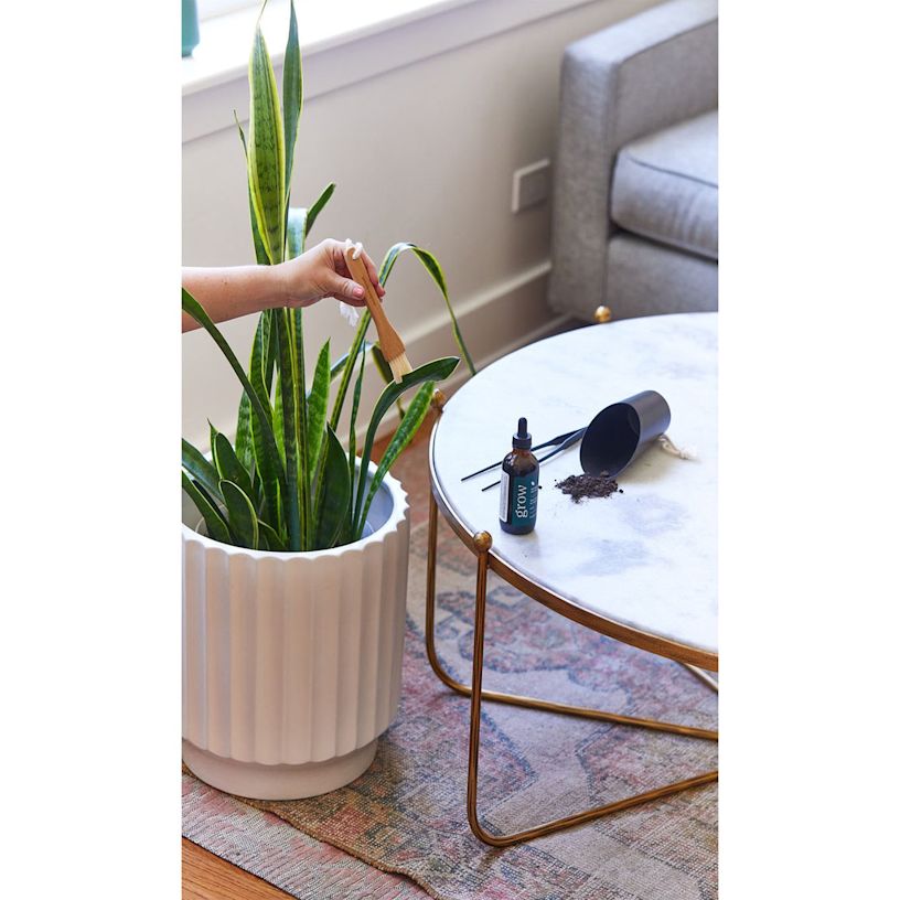 Example 4 of selected product