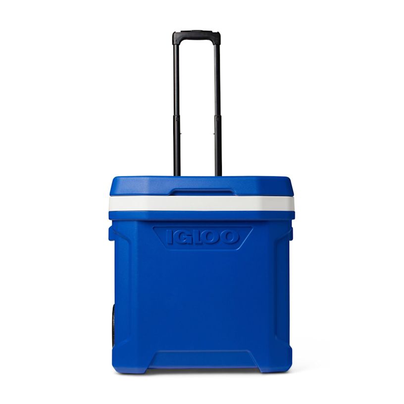 Example 15 of selected product