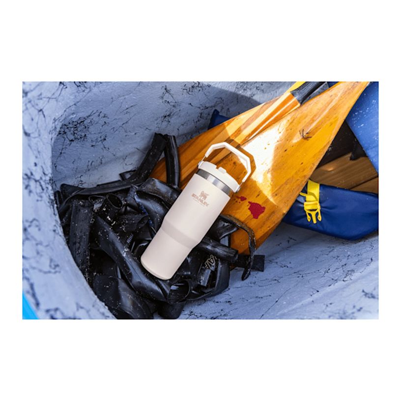 Example 8 of selected product